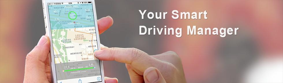 Smart Driving, Save your gas!